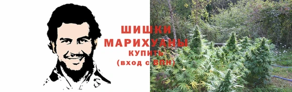 круглые Карпинск