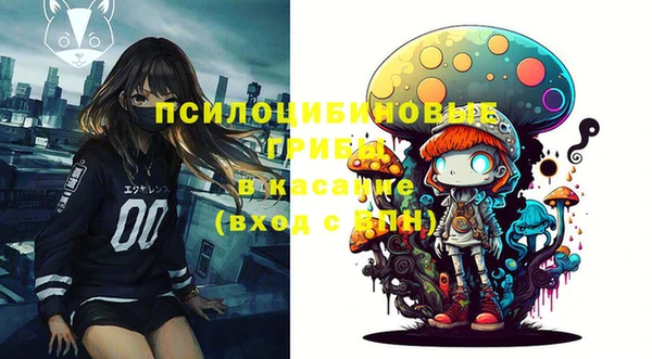 индика Кодинск