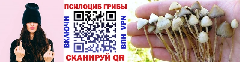 Галлюциногенные грибы ЛСД  Кизел 