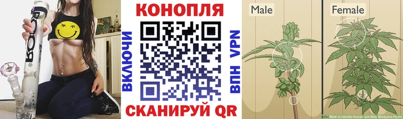 Канабис AK-47  ссылка на мегу как войти  Кизел 